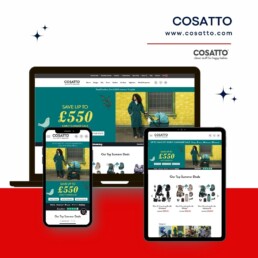 Digital Honchos- Cosatto Website